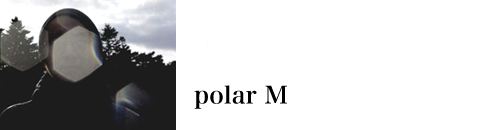 Polar M